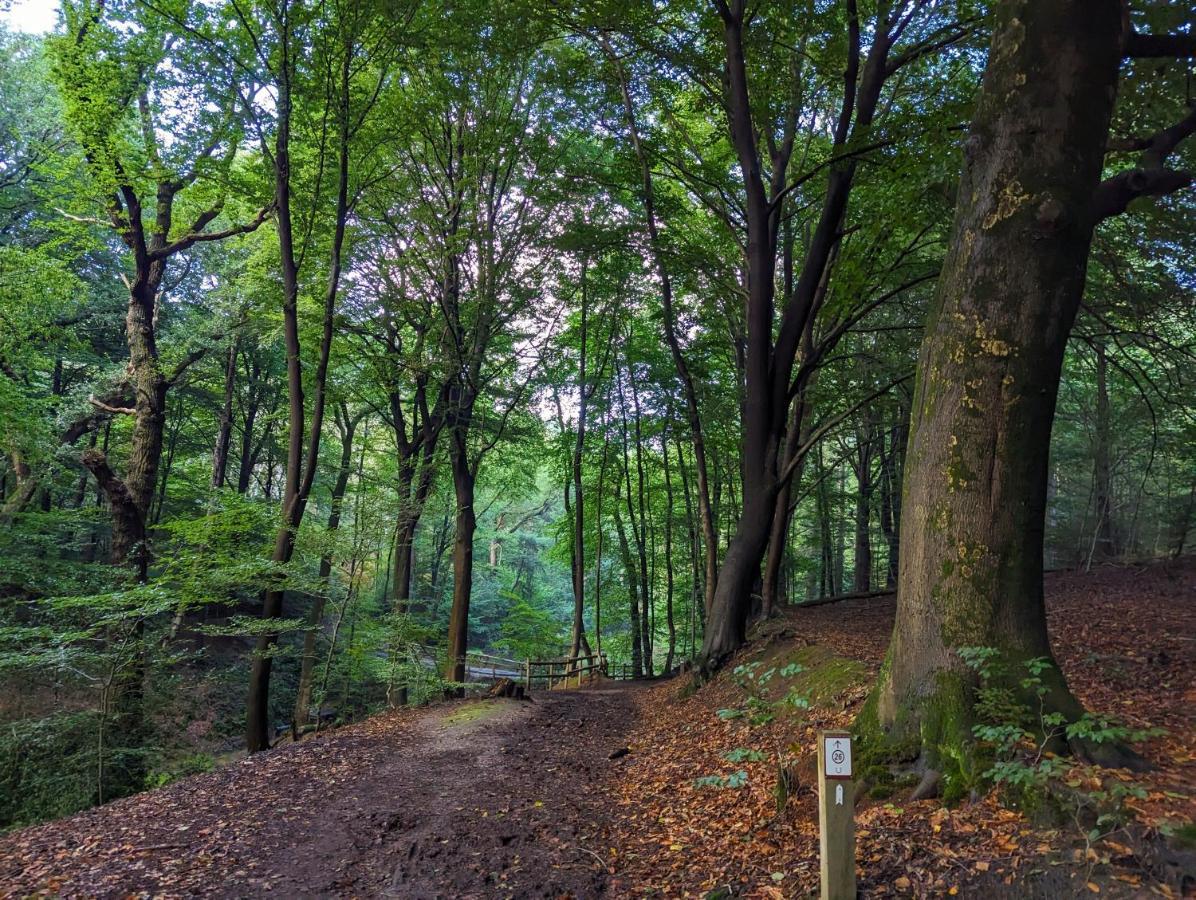 Klavertje 4 Middelaar Kültér fotó