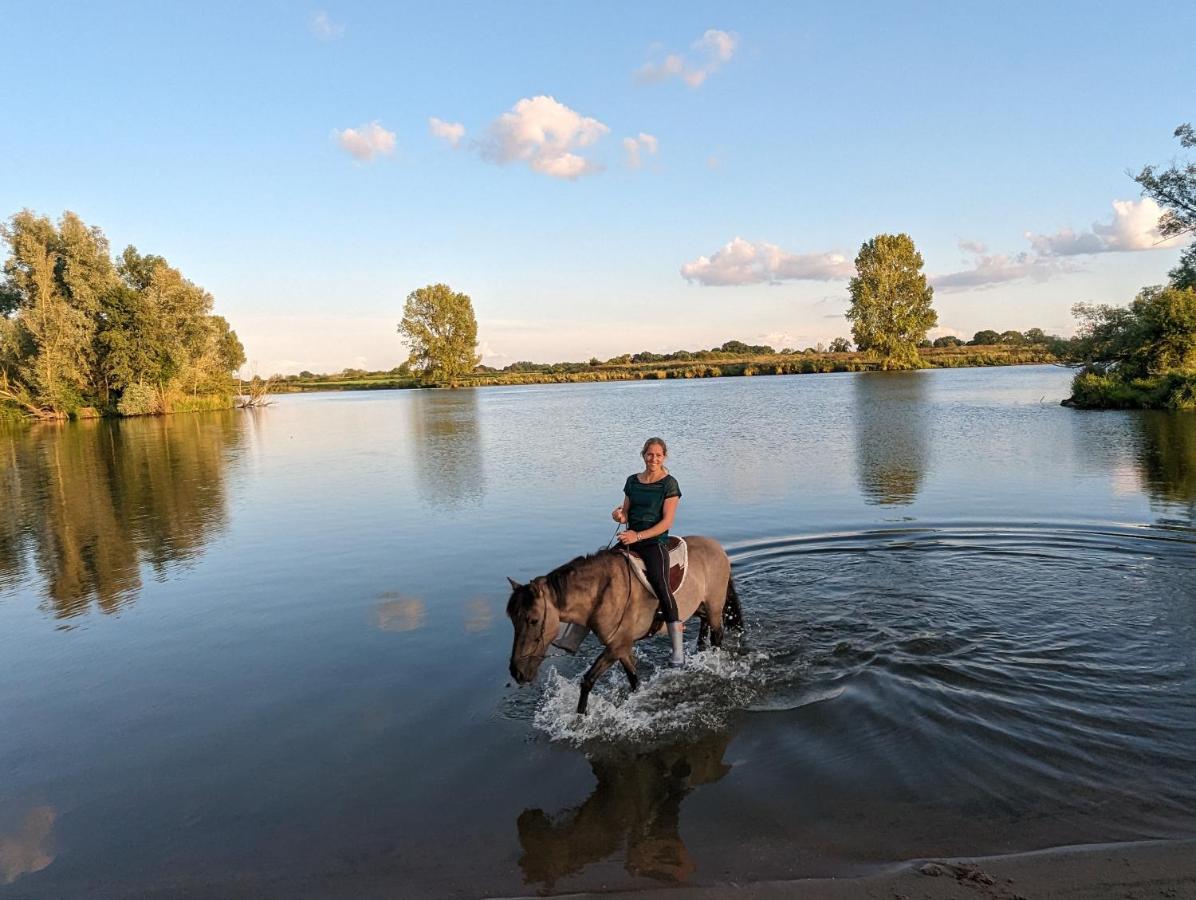 Klavertje 4 Middelaar Kültér fotó