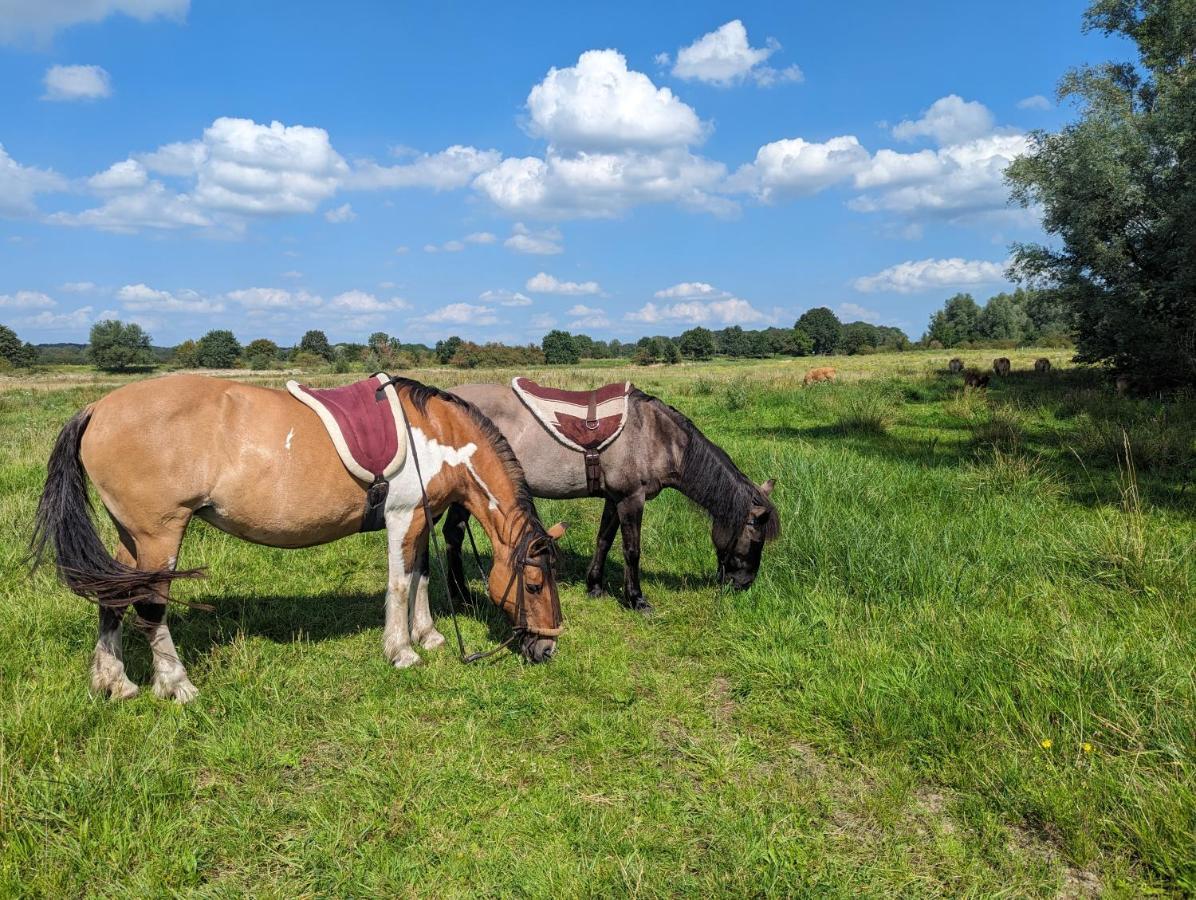 Klavertje 4 Middelaar Kültér fotó
